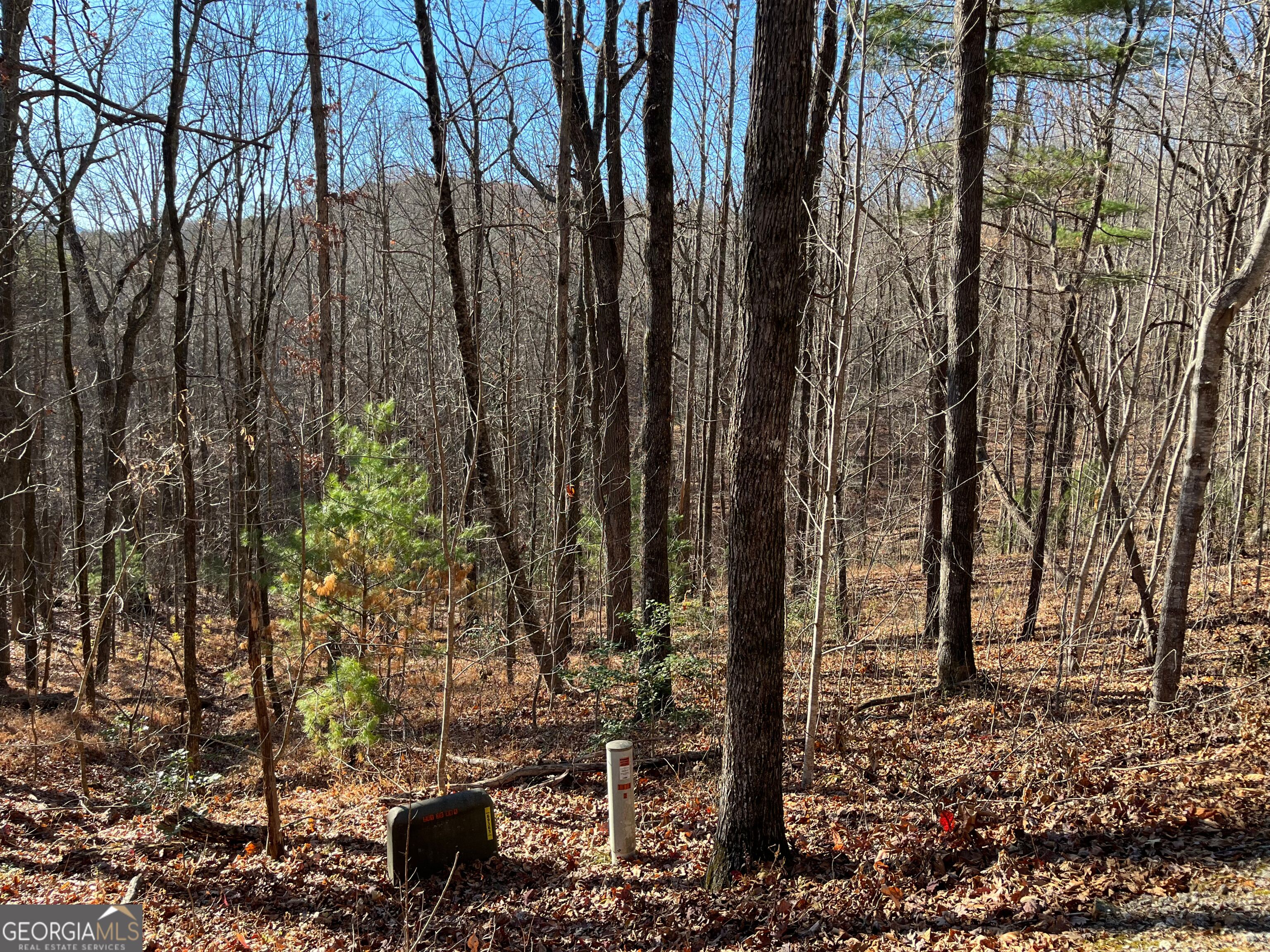 LOT #1 Forest Canopy WAY