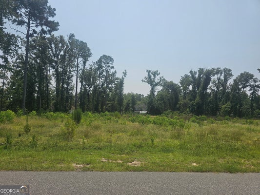CHESLEY DR, VIDALIA, GA 30474 - Image 283496d35c79274fc63bac2fc5bbf0e1/1761496695