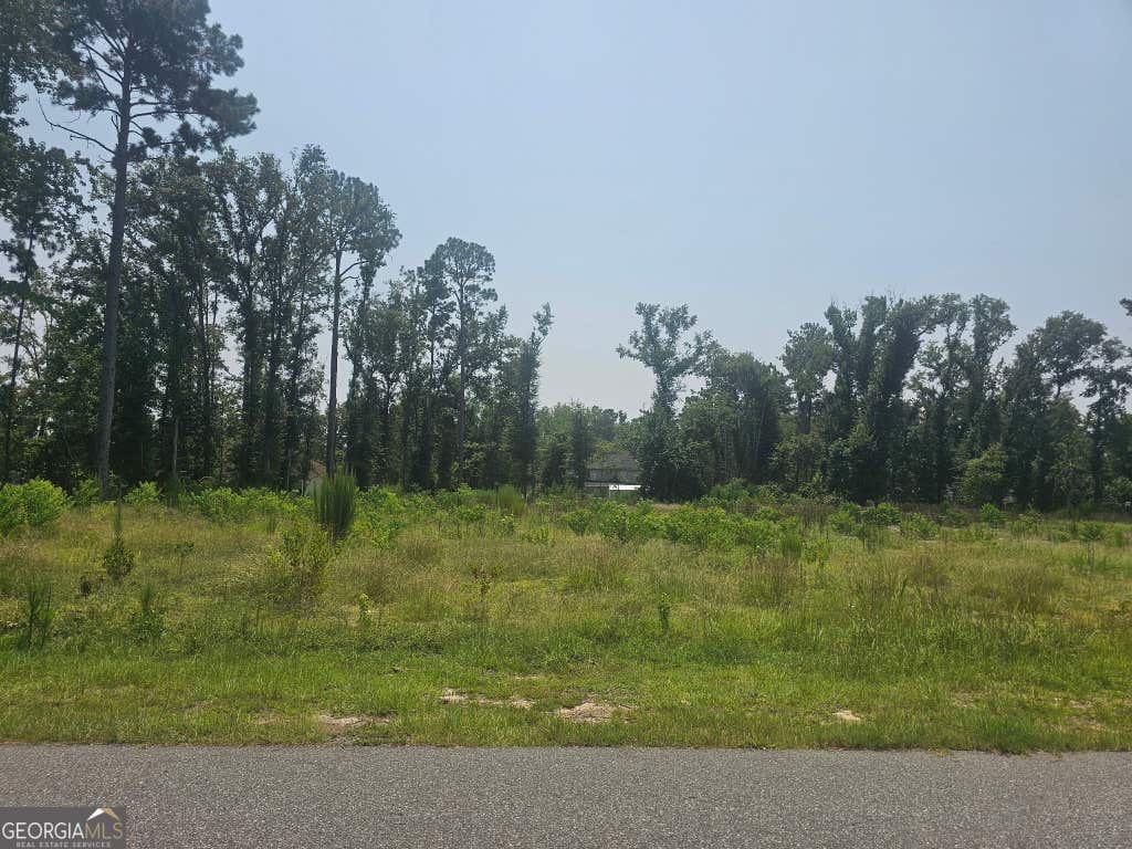 Photo of 0 Chesley Drive, Vidalia, GA 30474 (MLS # 10816174)