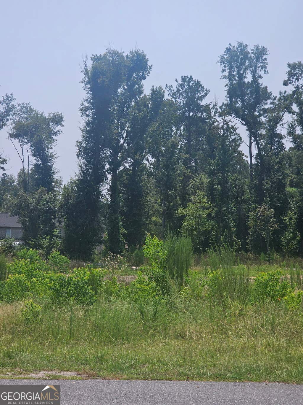 Photo of 0 Chesley Drive, Vidalia, GA 30474 (MLS # 10816174)