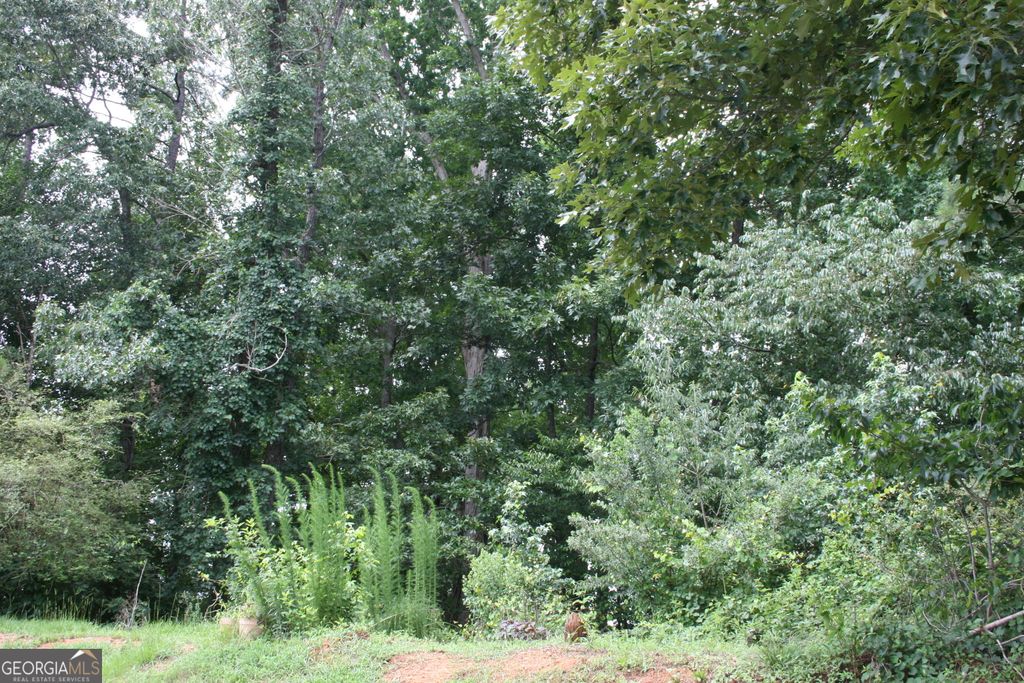 Photo of 610 Dodson Lake Court, Fairburn, GA 30213 (MLS # 10790176)