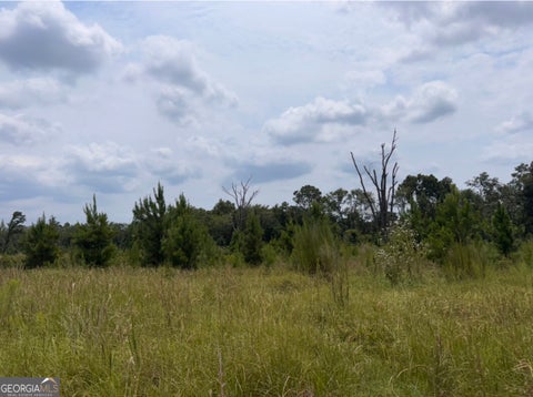 Photo of 0 Rose Hollow Road, Lyons, GA 30436 (MLS # 10819126)