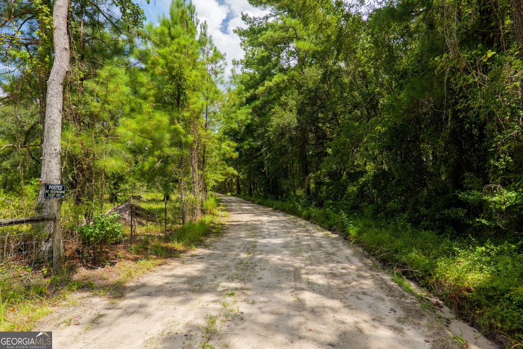 Photo of 99 Eagle Nest St, Fargo, GA 31631 (MLS # 10681636)