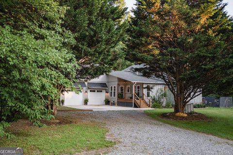 A home in Mineral Bluff