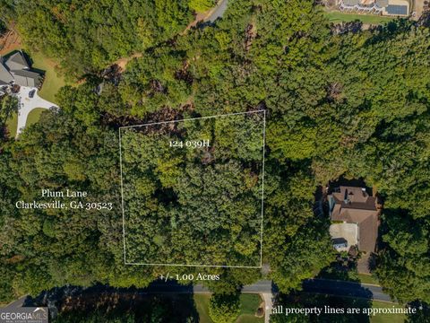 Photo of 0 Plum Lane, Clarkesville, GA 30523 (MLS # 10622770)
