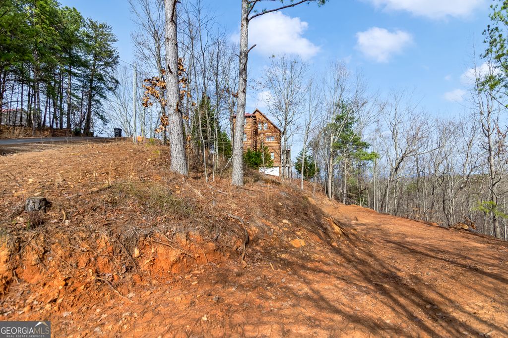 Photo of 30 William Way, Ellijay, GA 30540 (MLS # 10715584)