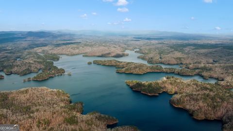 30 William WAY Ellijay GA 30540