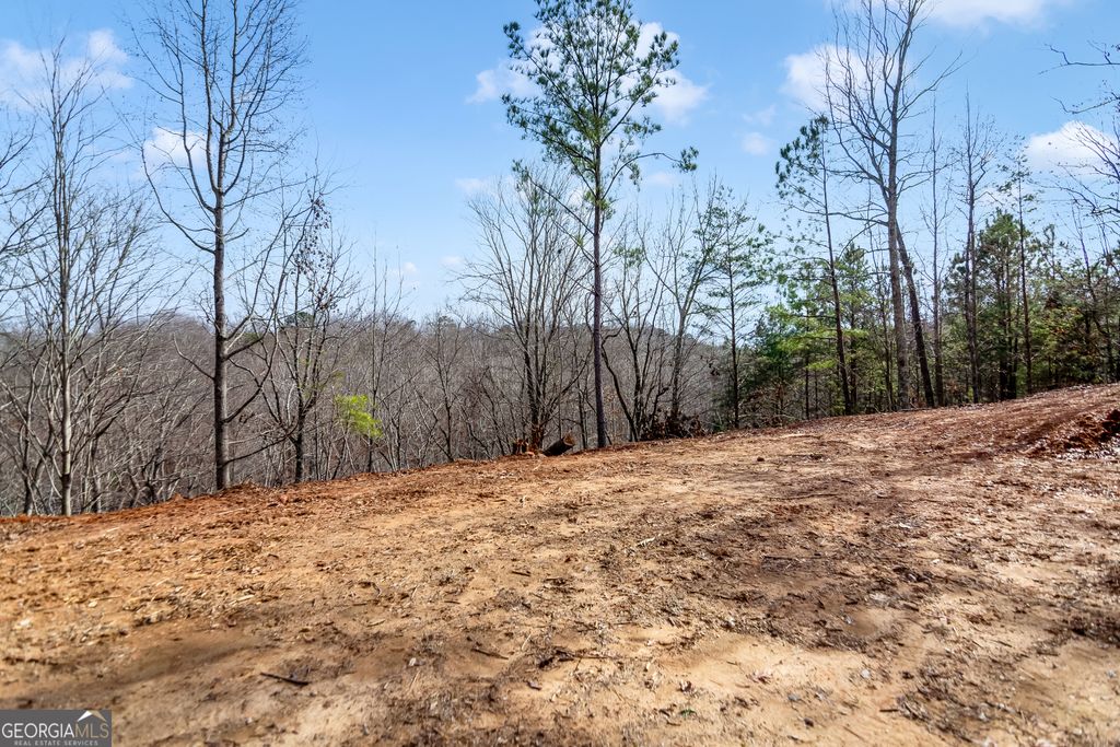 Photo of 30 William Way, Ellijay, GA 30540 (MLS # 10715584)