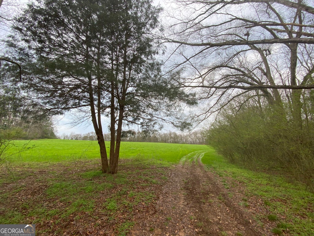 Photo of 0 Maxwell Mill Road, Dewy Rose, GA 30634 (MLS # 10877344)