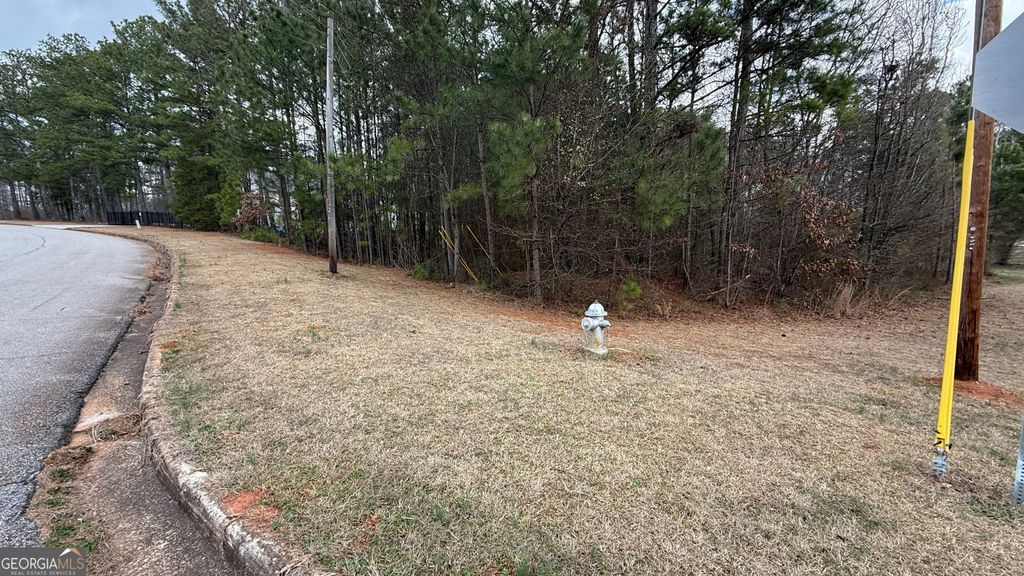 Photo of 9136 Grampian Court, Winston, GA 30187 (MLS # 10695055)