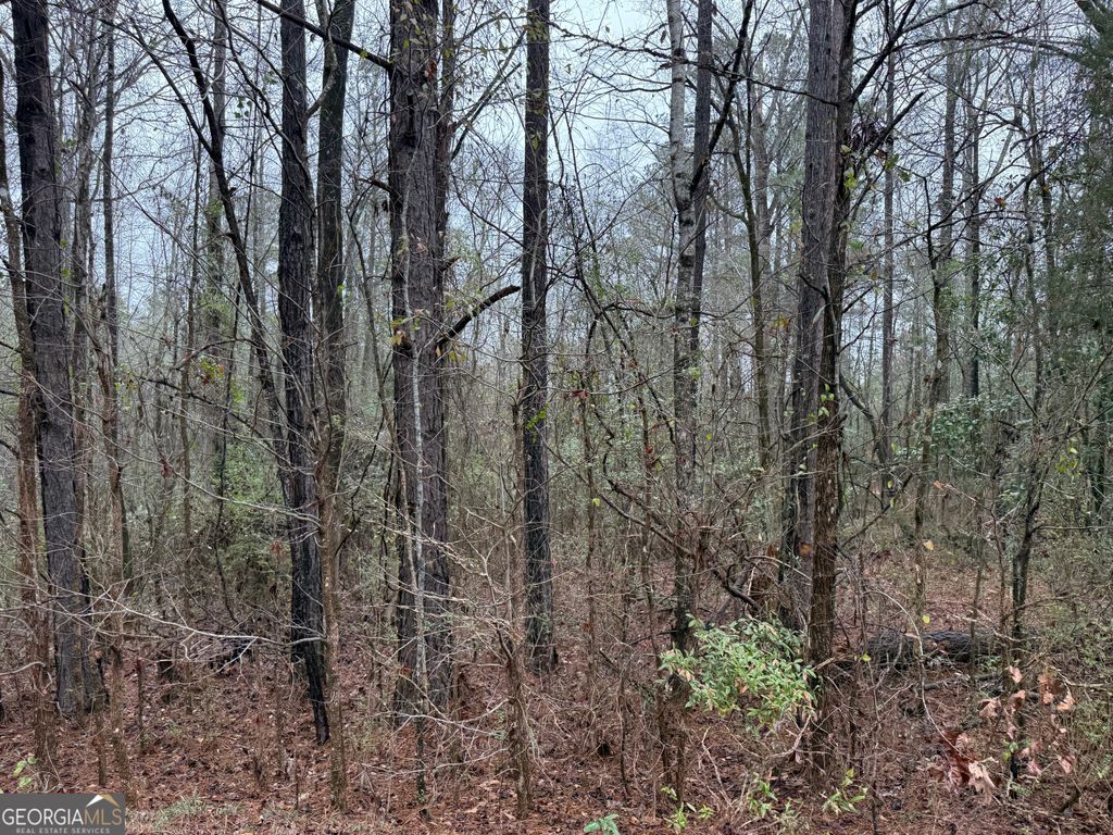 Photo of 0 Salem Road, LAGRANGE, GA 30241 (MLS # 10678473)