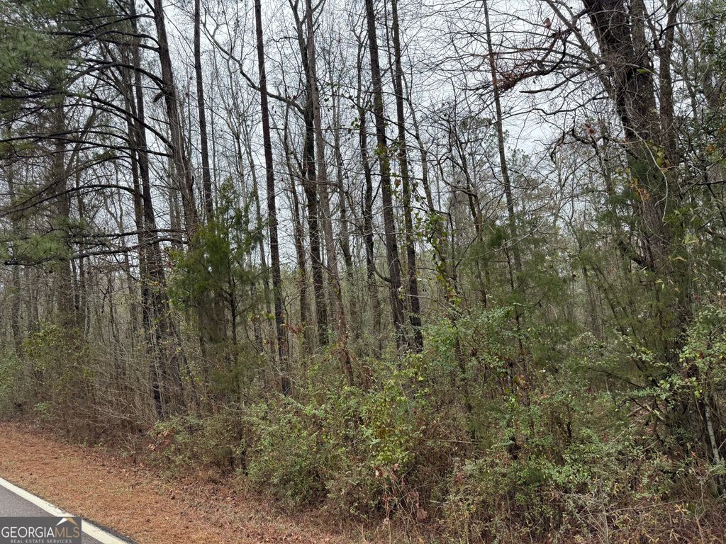 Photo of 0 Salem Road, LAGRANGE, GA 30241 (MLS # 10678473)