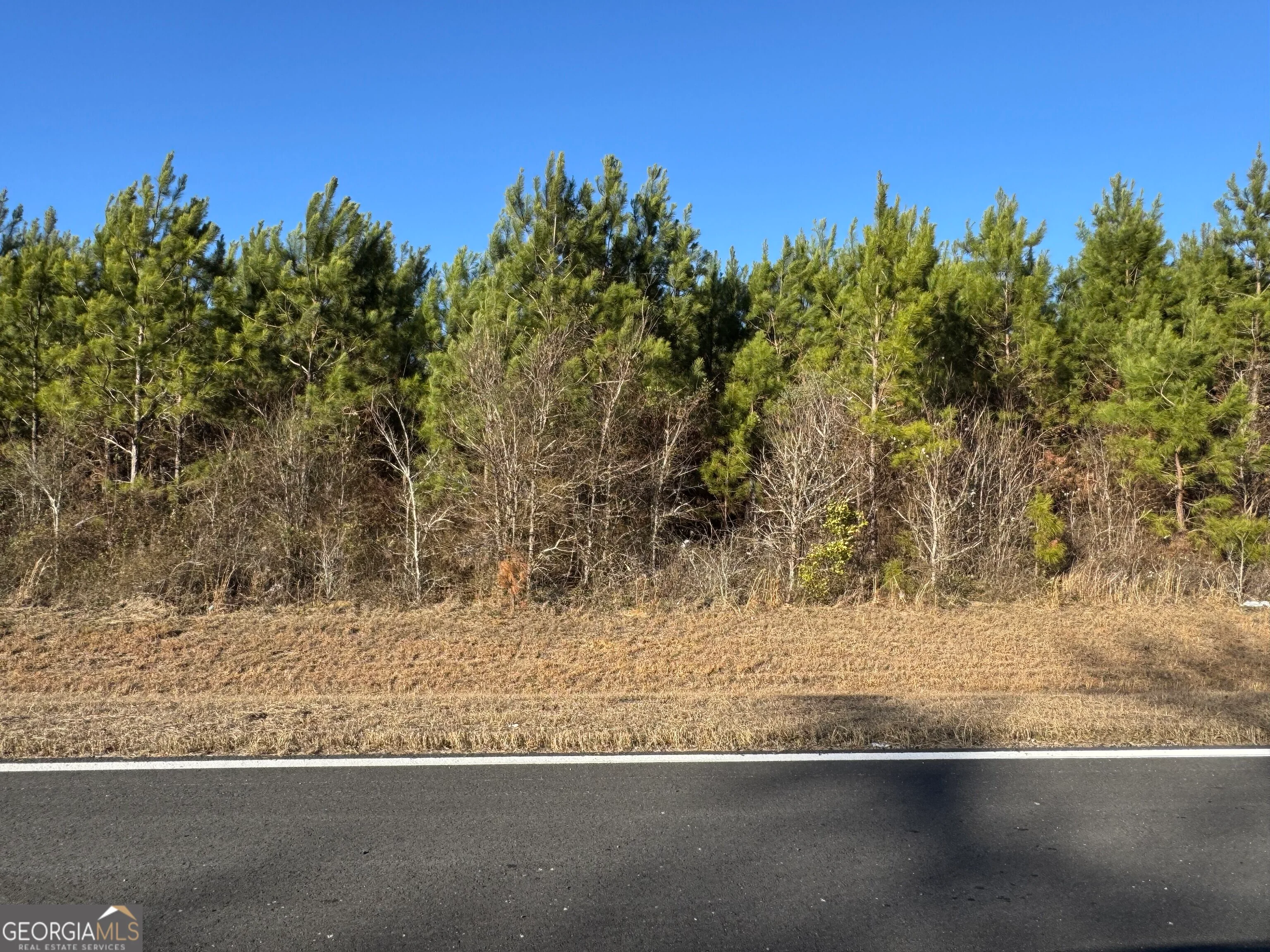 LOT 7 Whitfield Road, Elko, GA, 31025