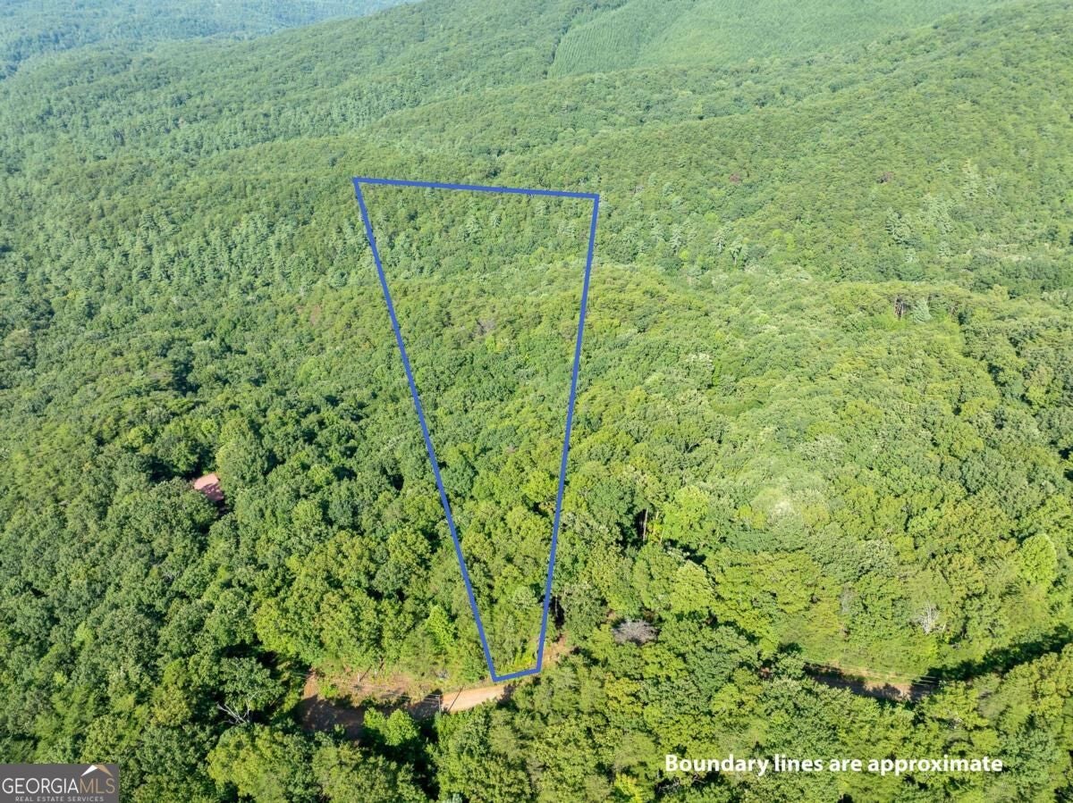 LOT 9 Brushy Top DR