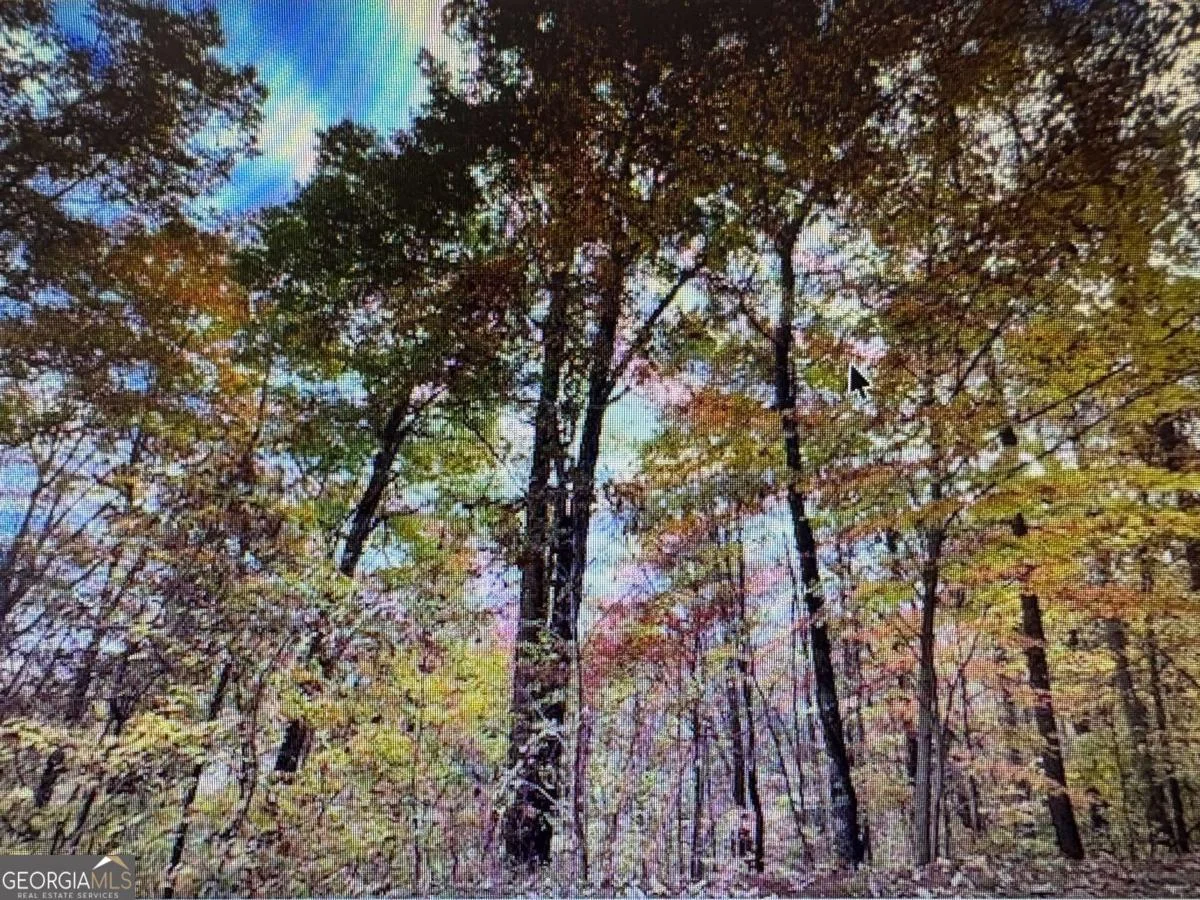 6 Morgan Creek Lot 6 Dr Unit 6