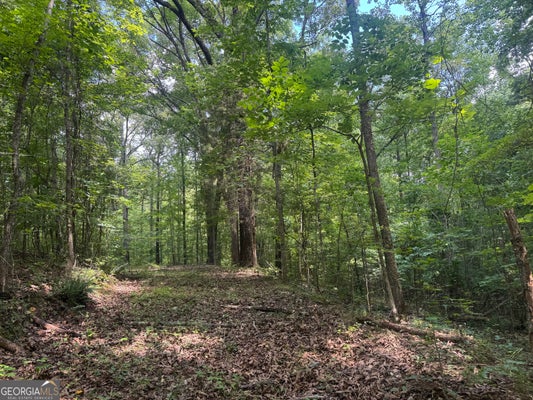 HICKEY RD, FRANKLIN, GA 30217 - Image 28ec92b7da93e1b0d3df80b512fa1e1d/1366206044