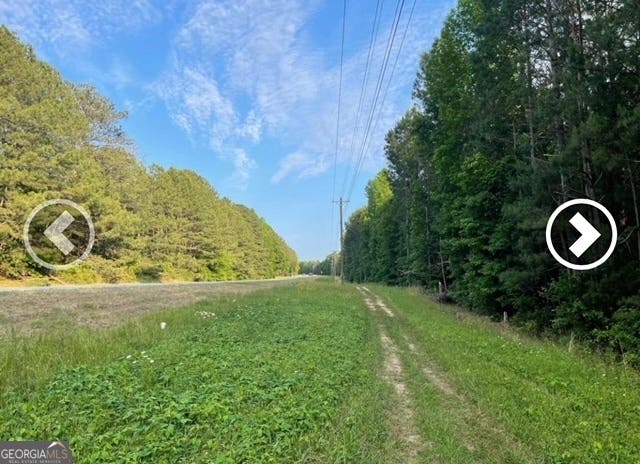 Photo of 0 Pickett Bridge Road, Covington, GA 30015 (MLS # 10808792)