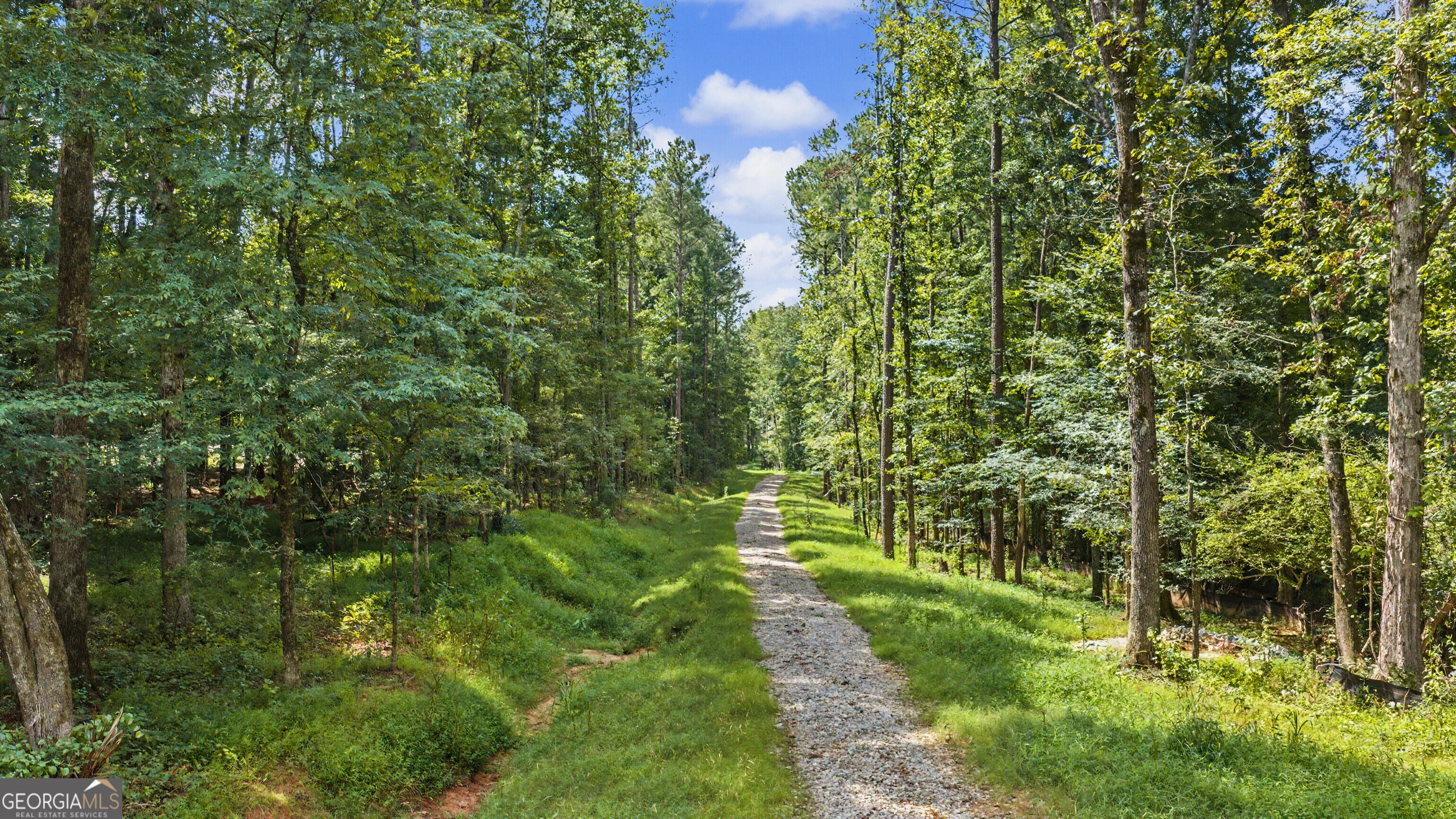 38.682 ACRES Btwn 446 & 478 Rising Star RD