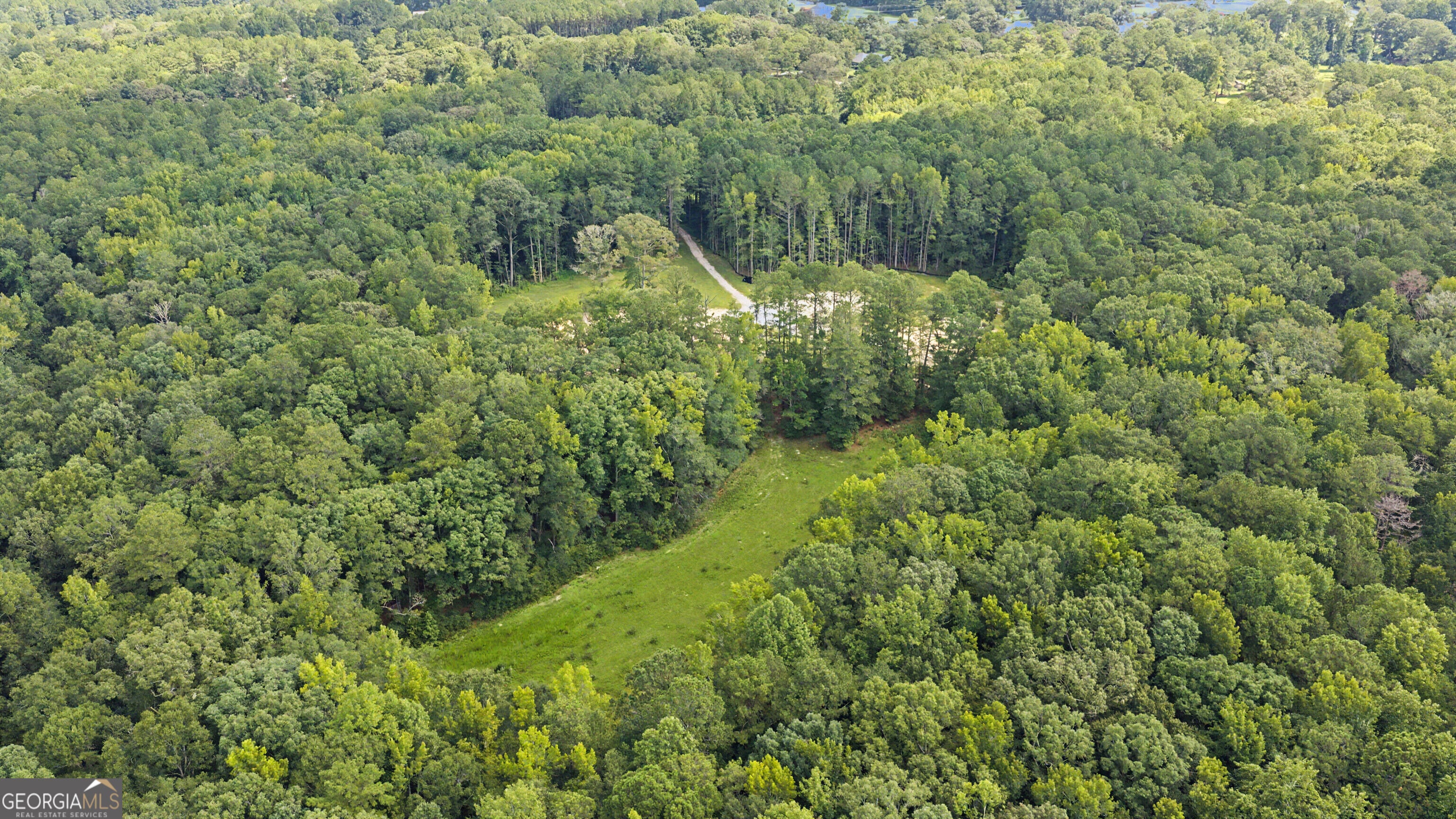 38.682 ACRES Btwn 446 & 478 Rising Star RD