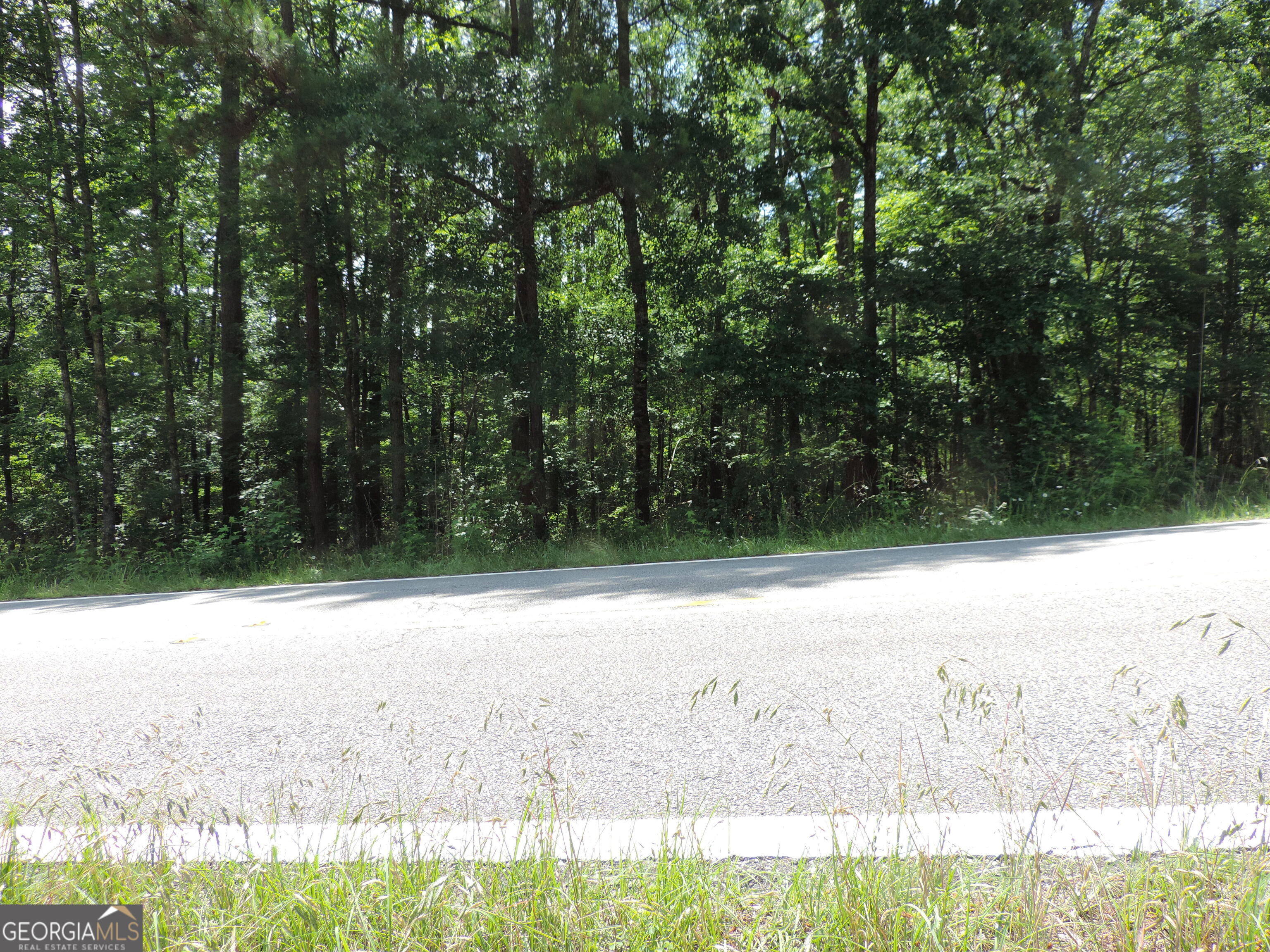 ***Wooded .57-Acre Lot with Deeded Lake Sinclair Access*** Great opportunity to build your own weekend getaway or permanent home on this .57-acre wooded lot located in a quiet area of Sparta, GA. The property offers deeded access to Lake Sinclair, giving you convenient access to boating, fishing, and outdoor recreation. This parcel is ideal for those looking to enjoy privacy and the natural beauty of the area, while still being just a short drive from town. Whether you're planning a custom home, cabin, or investment property, this lot provides a flexible canvas for your vision. Buyer to verify any and all restrictions, zoning requirements, utilities, and access. No HOA.