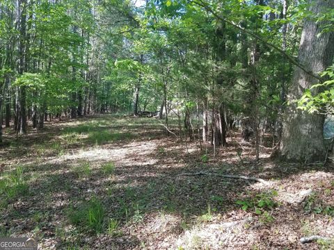 Photo of 0 Browning Road, Rockmart, GA 30153 (MLS # 10621740)