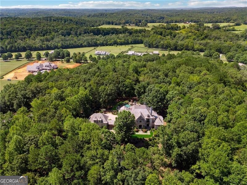 Ball Ground, Georgia 30107, United States, 5 Bedrooms Bedrooms, ,7 BathroomsBathrooms,Residential,Pending,45668