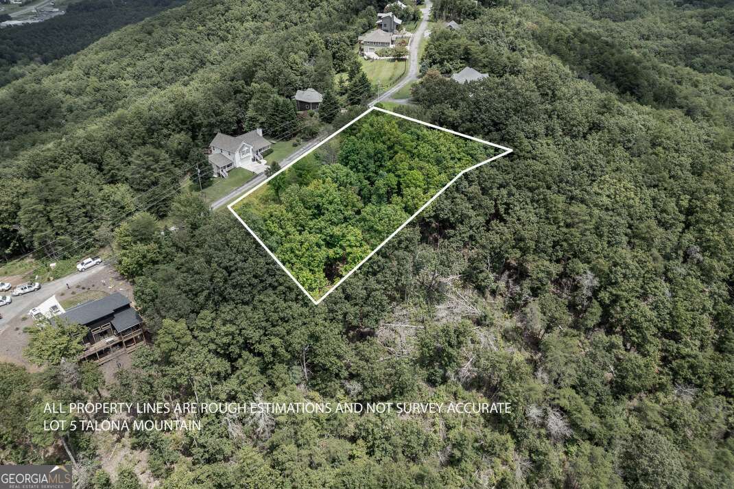 Located on picturesque Talona Mountain Road in Ellijay, GA, this beautiful wooded lot offers stunning year-round panoramic mountain views and a peaceful natural setting with gentle, level to sloping terrain-ideal for building your dream home or vacation retreat. Enjoy the tranquility of mountain living without sacrificing modern conveniences: the property has access to city water-no need to drill a well-along with electricity, cable TV, and high-speed internet availability. It has already been perked for septic and includes generous road frontage for easy access. With no HOA, this lot gives you the freedom to create the lifestyle you want without restrictive covenants. Surrounded by nature yet just minutes from the charming downtown of Ellijay, you'll enjoy quick access to shopping, dining, and local attractions. The location also offers an easy drive to nearby towns like Canton and Jasper, making it an ideal choice for your dream home in one of North Georgia's best and most sought-after areas.