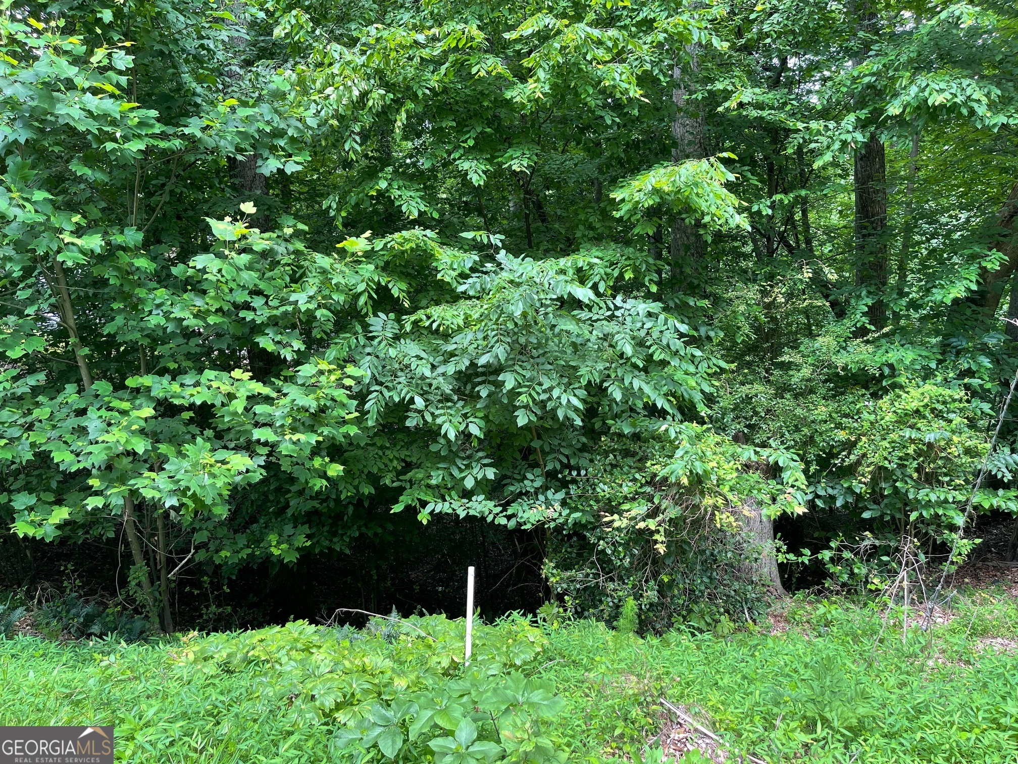 LOT 1682 Point RD