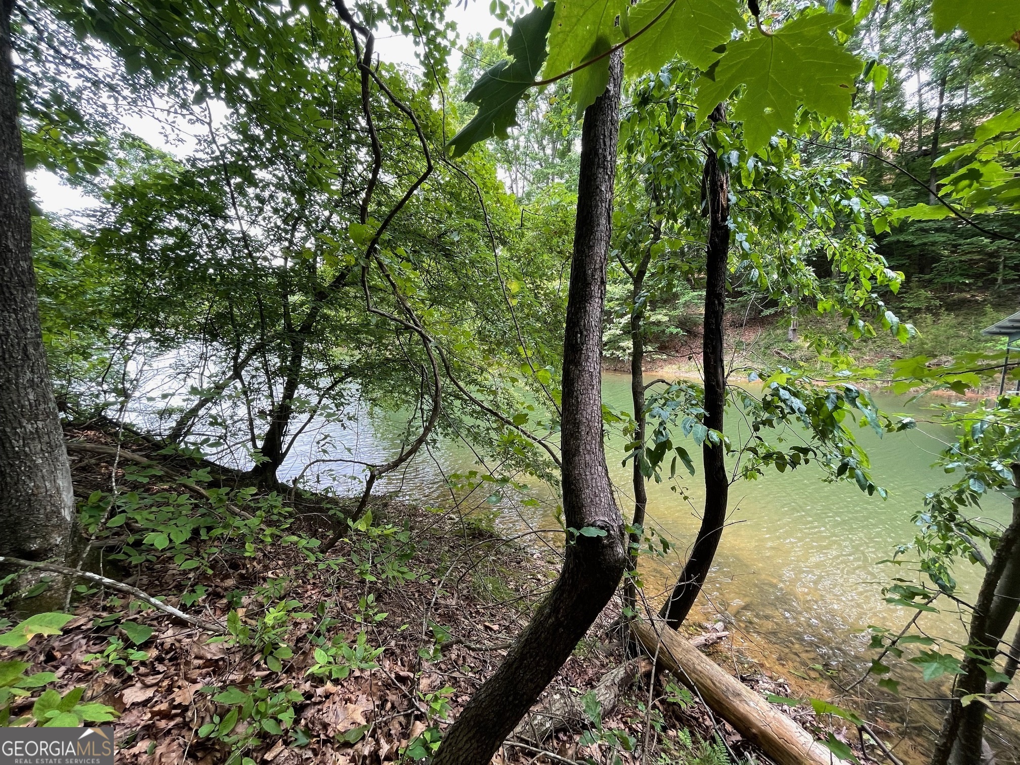 LOT 1682 Point RD