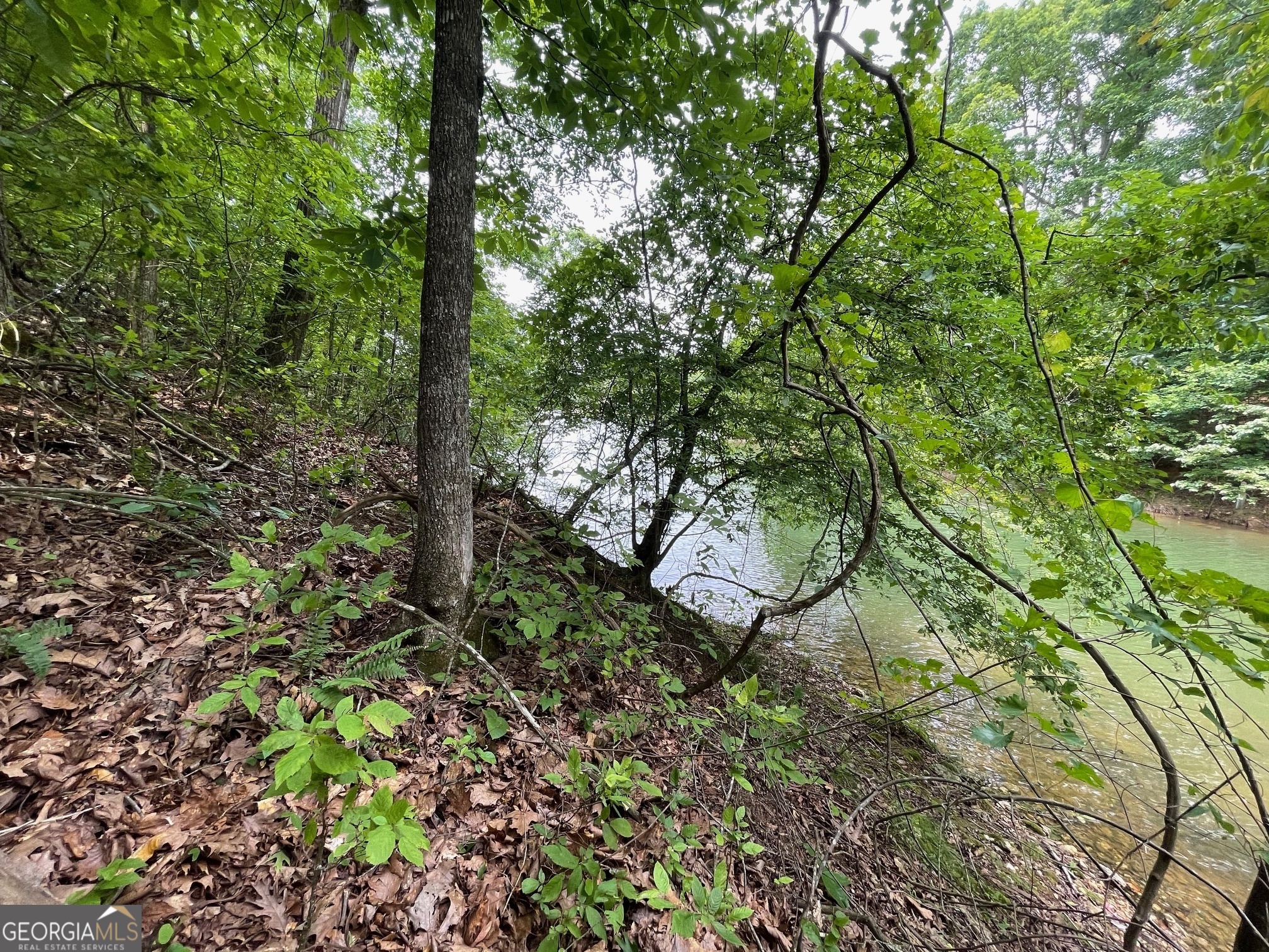 LOT 1682 Point RD