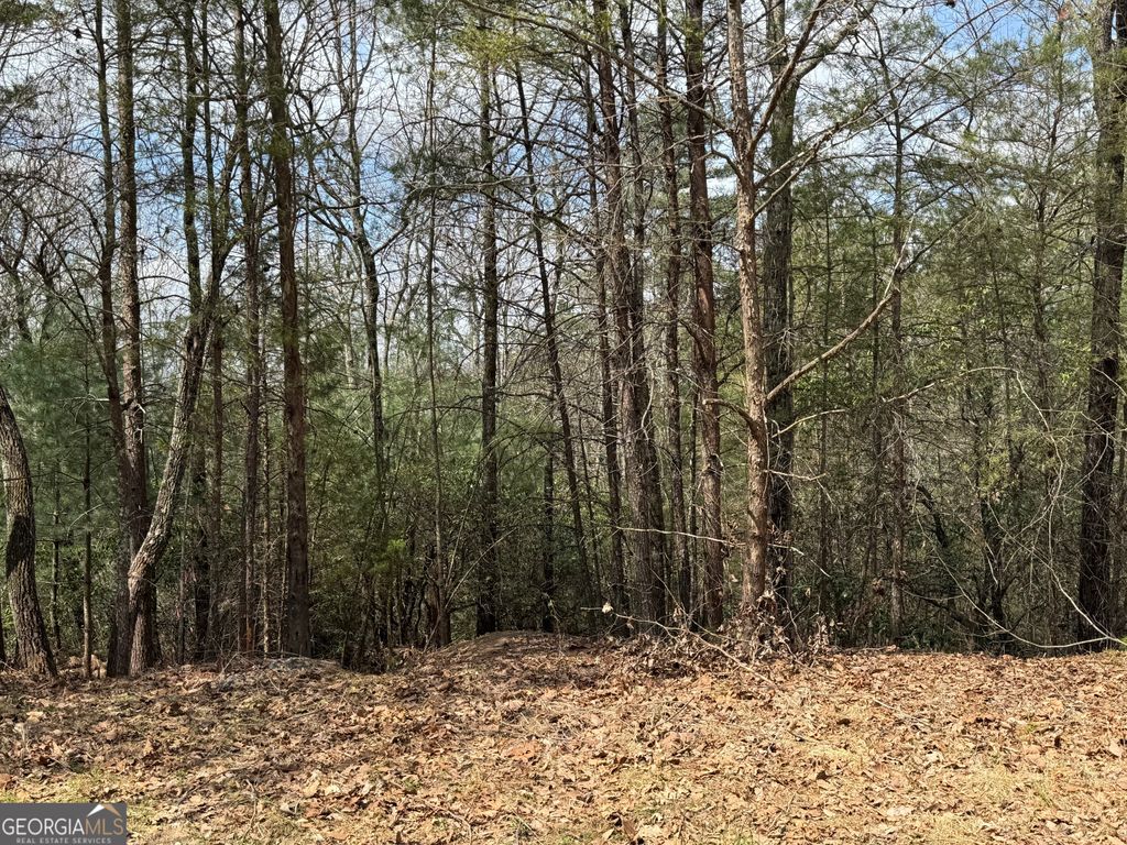 Photo of 0 Grizzly Bear Trail, Sautee Nacoochee, GA 30571 (MLS # 10721777)