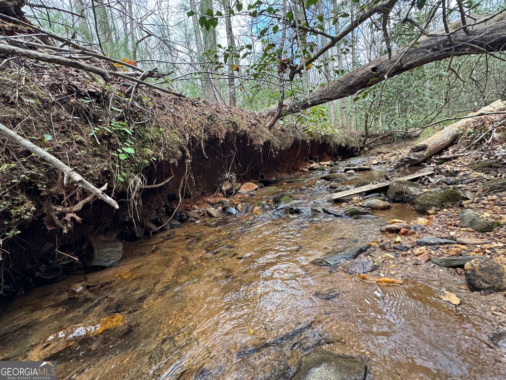 Photo of 0 Grizzly Bear Trail, Sautee Nacoochee, GA 30571 (MLS # 10721777)