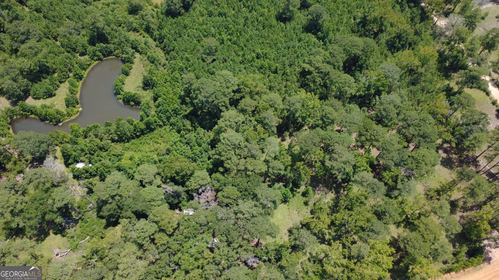 Photo of 807 Aden Lanier Road, Statesboro, GA 30458 (MLS # 10819983)