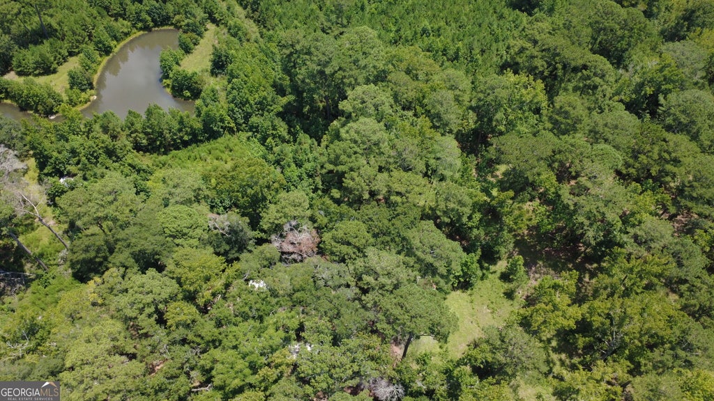 Photo of 807 Aden Lanier Road, Statesboro, GA 30458 (MLS # 10819983)