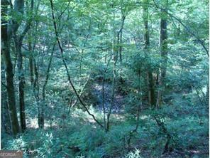 Beautiful large wooded lot with flowing creek baordering rear property line. Ready for your home to built. Community water ($300/year), neighborhood picnic area with access to waterfall!