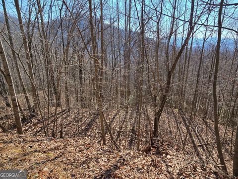 LOT 11 High MDWS 11 Hayesville NC 28904