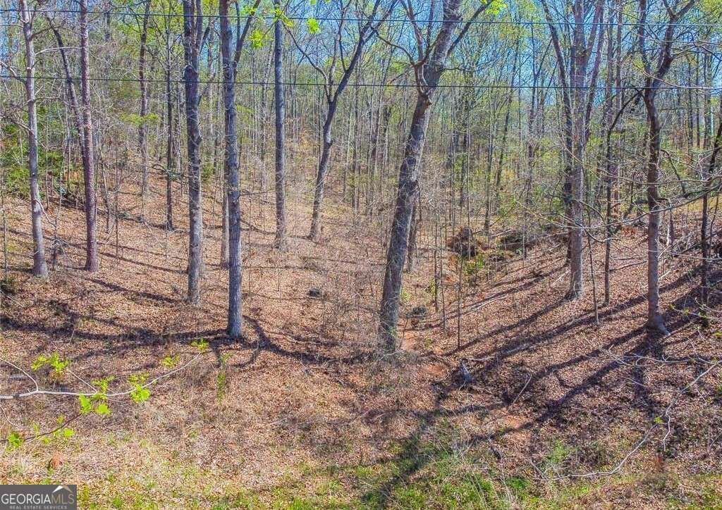 Photo of 0 Arrow Lane, Lavonia, GA 30553 (MLS # 10770827)