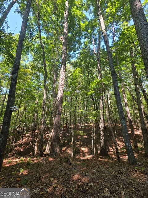 Photo of 0 Browntown, Rockmart, GA 30153 (MLS # 10848145)