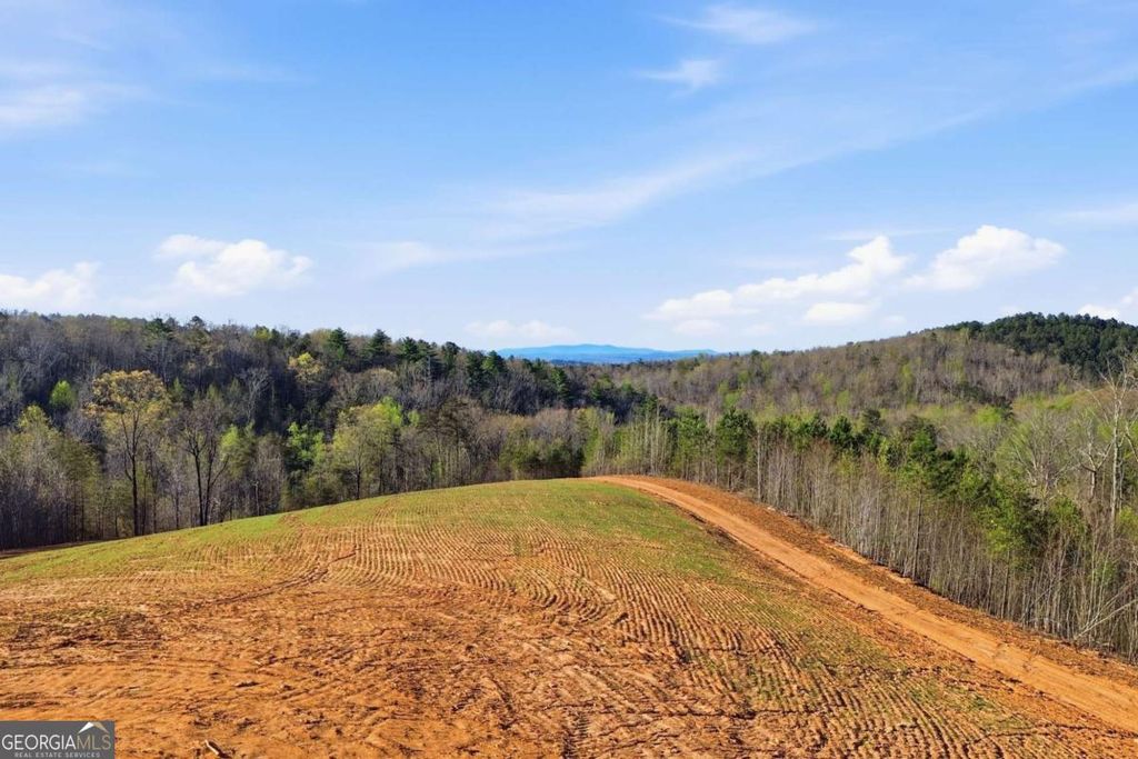 Photo of 1927 Leeches Road, Ellijay, GA 30540 (MLS # 10725434)