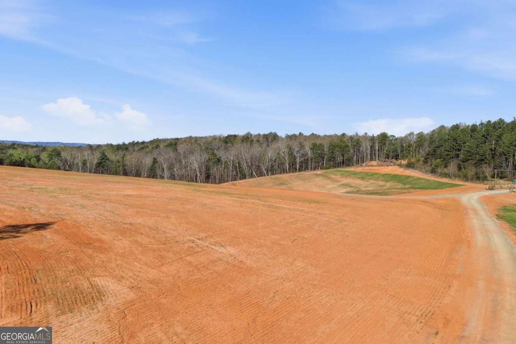 Photo of 1927 Leeches Road, Ellijay, GA 30540 (MLS # 10725434)