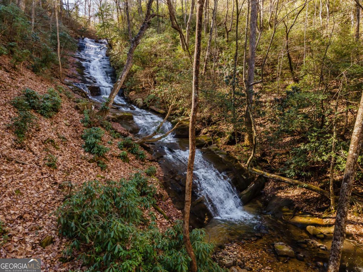 185 Huckleberry Cove RD