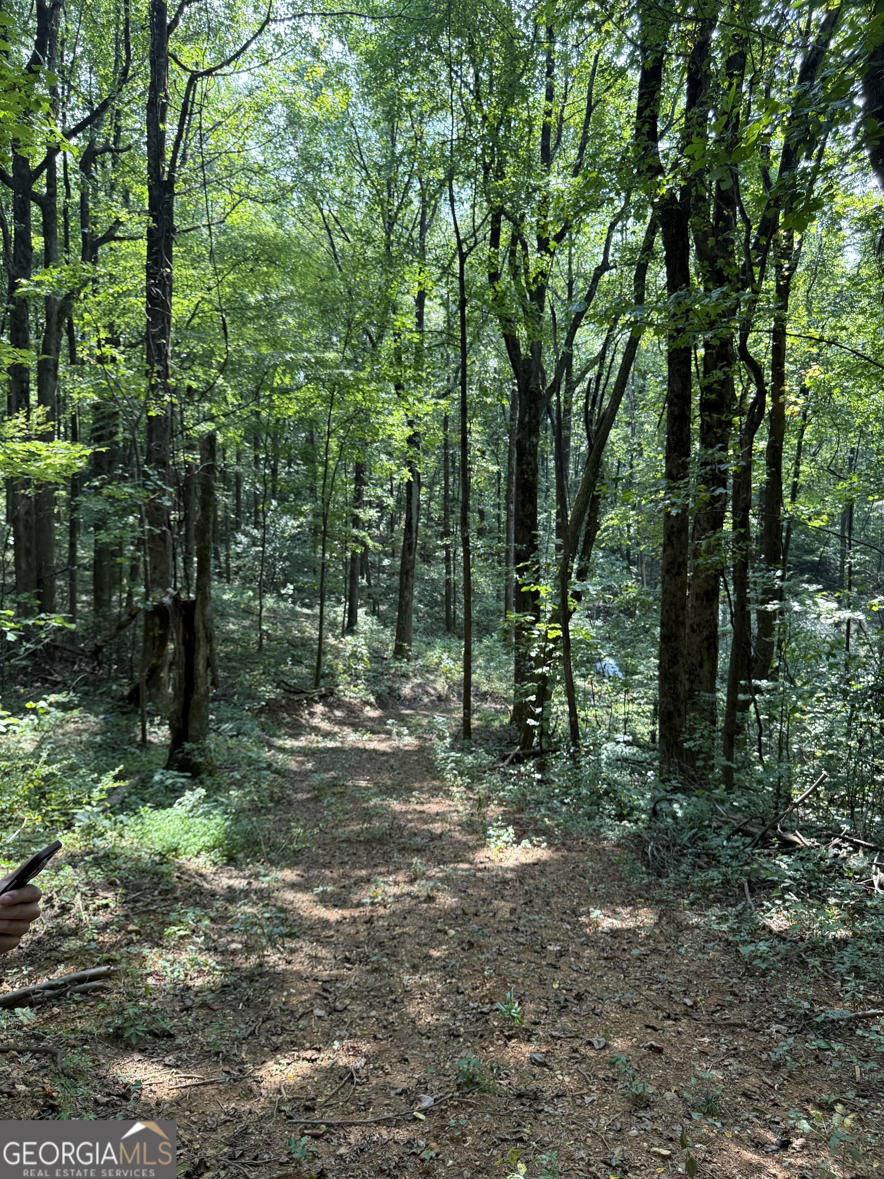 Discover 9.55 unrestricted acres on the highly sought-after Burnt Mountain! This beautiful tract offers a mix of mature hardwoods, abundant wildlife, and a seasonal mountain view, all wrapped in the fresh mountain air this area is known for. A path has already been partially cut in, and the land is mainly flat with only a gentle slope making it very easy to walk and envision your dream build. With a mailbox and property address already in place, it's ready for your plans. The terrain provides an ideal spot to place a home, cabin, or retreat, while the surrounding privacy and natural beauty offer the perfect mountain escape and only 18mins from downtown historic Jasper. Unimproved yet full of potential, this rare property continues to grow in value. Don't miss the chance to own a slice of Burnt Mountain at a great price and motivated seller!