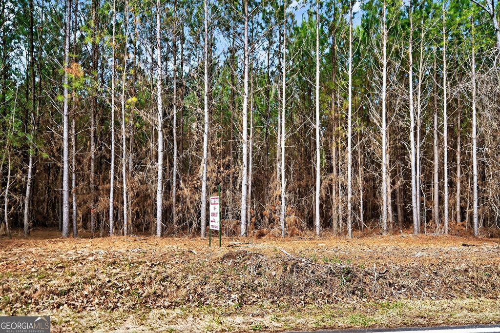 Photo of 123 Lower Harmony Rd, Eatonton, GA 31024 (MLS # 10690401)