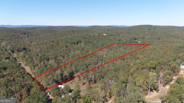 0 FLOWERY BRANCH ROAD, KINGSTON, GA 30145 - Image 29e6e9f3b6c6f30dcb1f7cdd75f86fa9/625870919