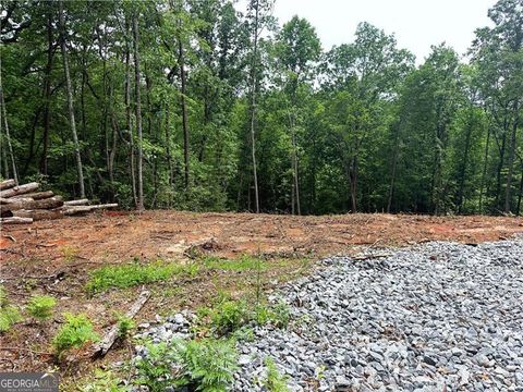 Photo of 329 River Highlands Road, Dahlonega, GA 30533 (MLS # 10787809)