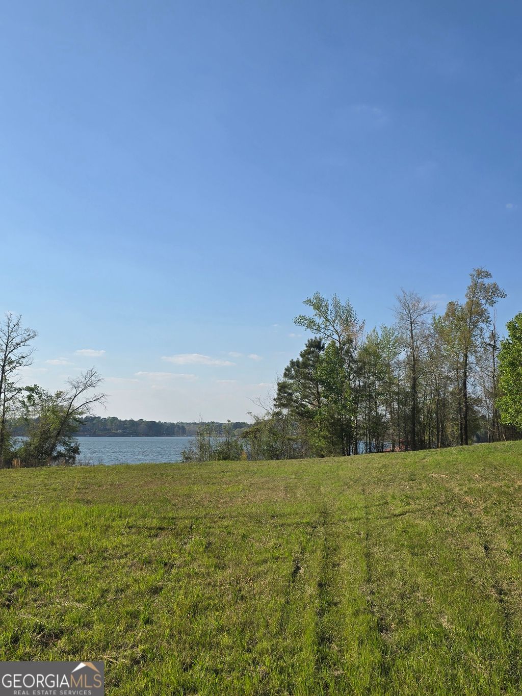 Photo of 2336 Grand Harbour Drive, Lizella, GA 31052 (MLS # 10721218)