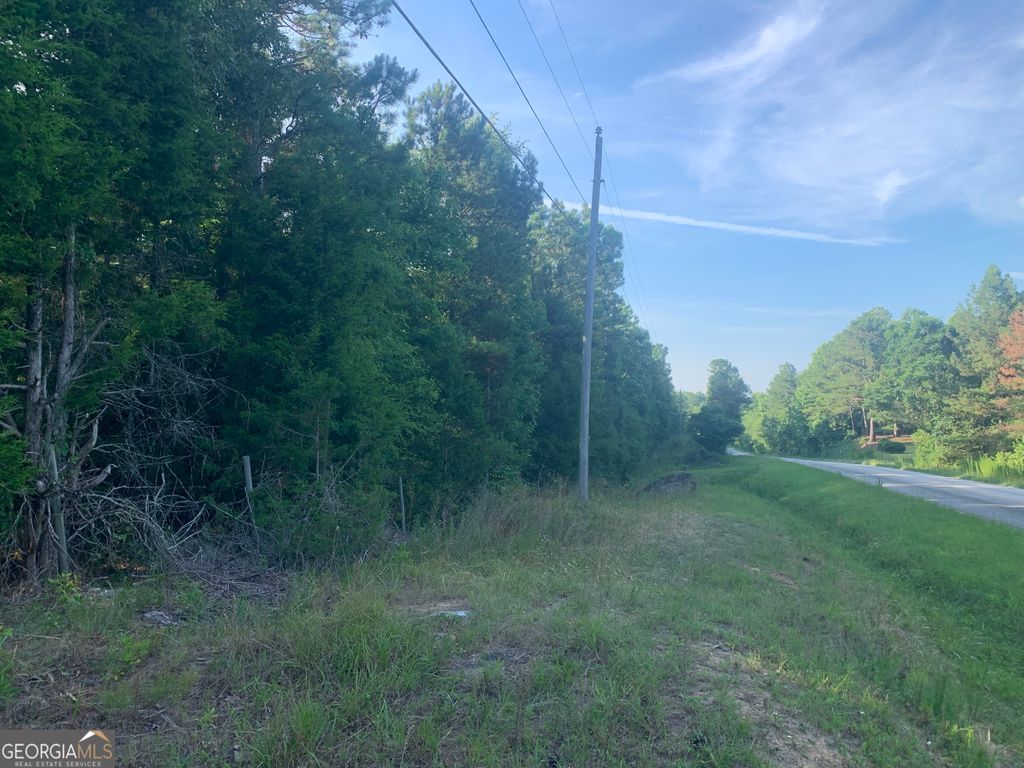 Photo of 0 Pedenville Road, Concord, GA 30206 (MLS # 10710730)