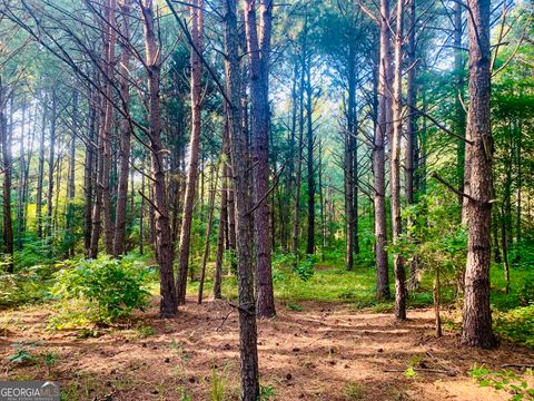 Photo of 0 Pedenville Road, Concord, GA 30206 (MLS # 10710730)