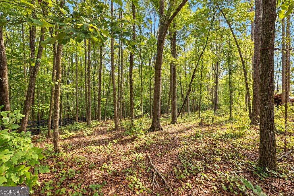 Photo of 421 River Bluff Lane, Ball Ground, GA 30107 (MLS # 10854537)