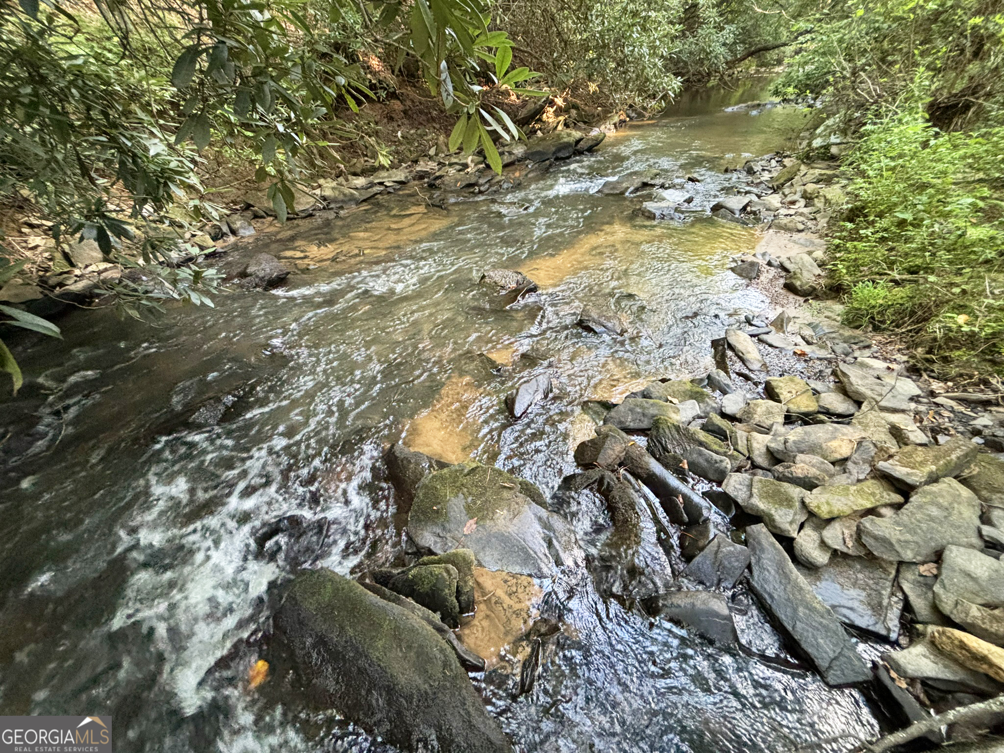 LOT 6 Mt Springer Rd